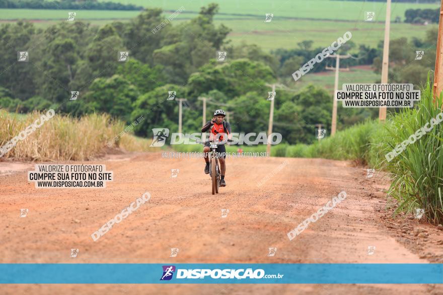 1ª EDIÇÃO DESAFIO ABELHA GRANDE - XCM