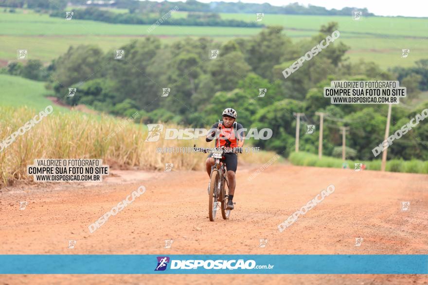 1ª EDIÇÃO DESAFIO ABELHA GRANDE - XCM