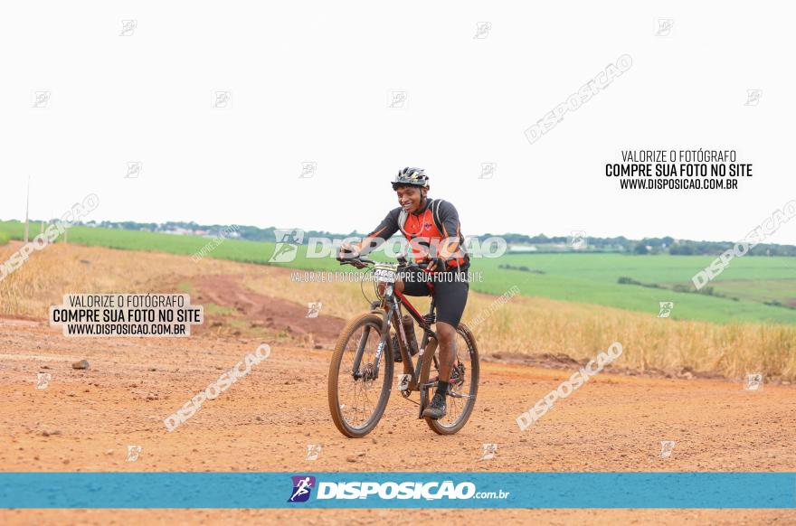 1ª EDIÇÃO DESAFIO ABELHA GRANDE - XCM