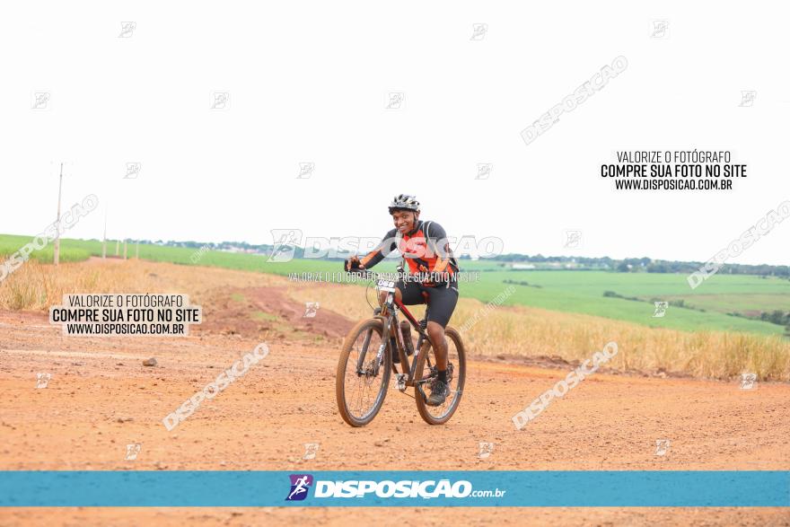 1ª EDIÇÃO DESAFIO ABELHA GRANDE - XCM