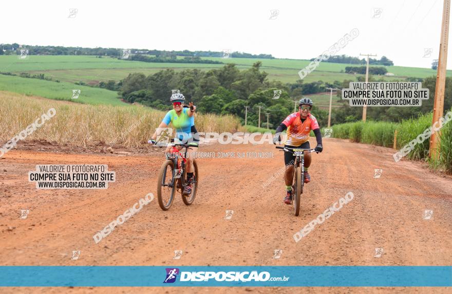 1ª EDIÇÃO DESAFIO ABELHA GRANDE - XCM