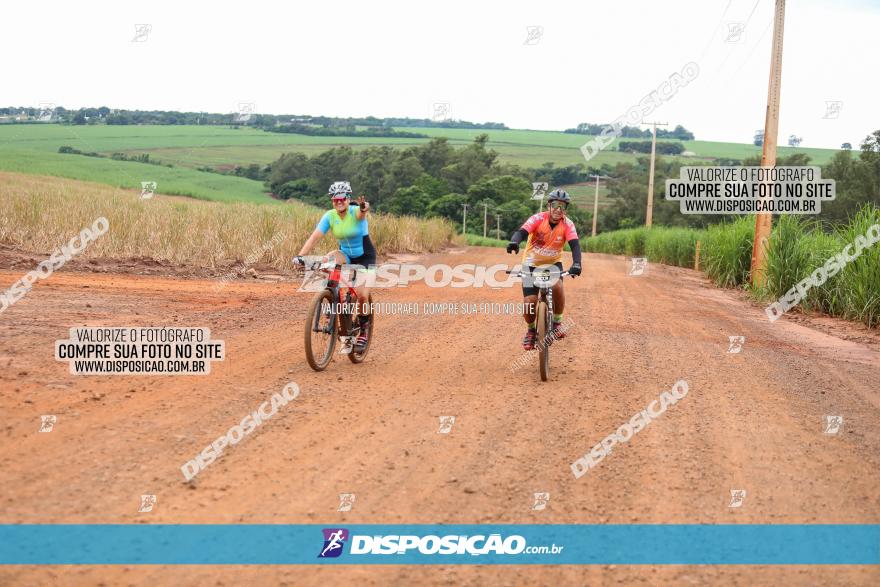 1ª EDIÇÃO DESAFIO ABELHA GRANDE - XCM