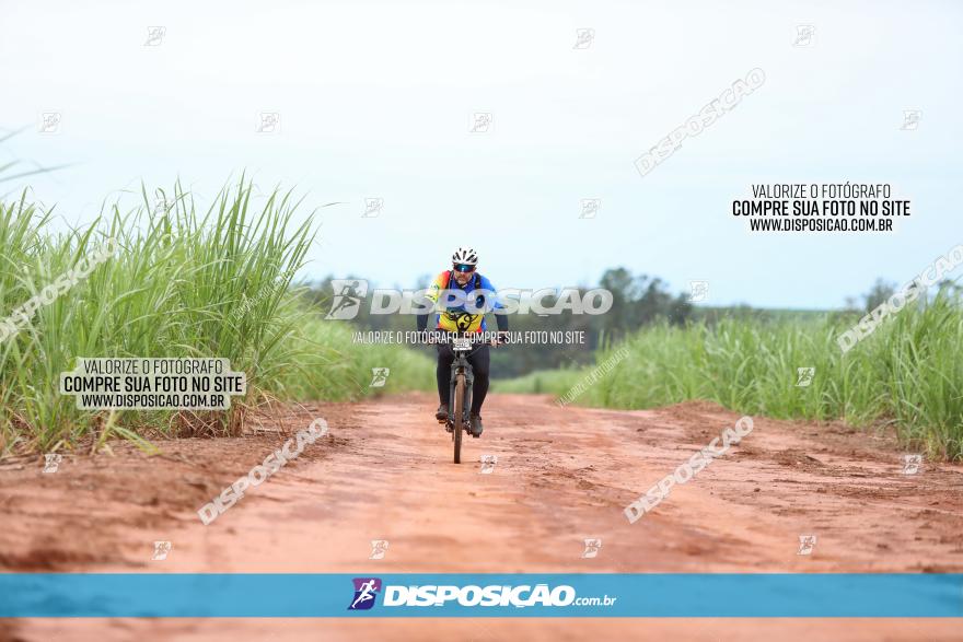 1ª EDIÇÃO DESAFIO ABELHA GRANDE - XCM