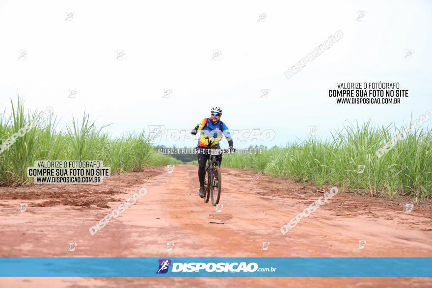 1ª EDIÇÃO DESAFIO ABELHA GRANDE - XCM