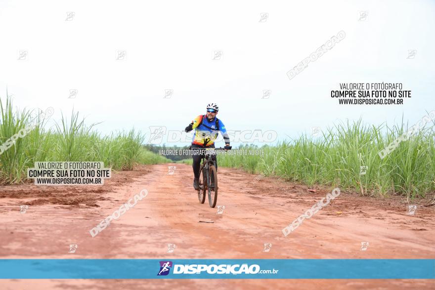 1ª EDIÇÃO DESAFIO ABELHA GRANDE - XCM