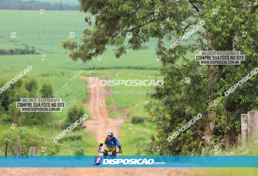 1ª EDIÇÃO DESAFIO ABELHA GRANDE - XCM