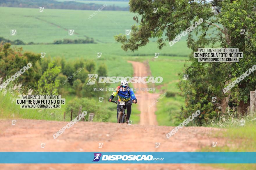 1ª EDIÇÃO DESAFIO ABELHA GRANDE - XCM