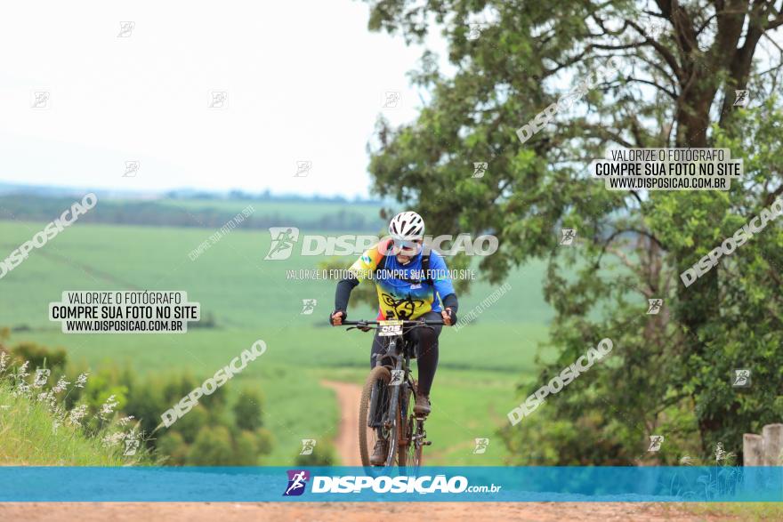 1ª EDIÇÃO DESAFIO ABELHA GRANDE - XCM