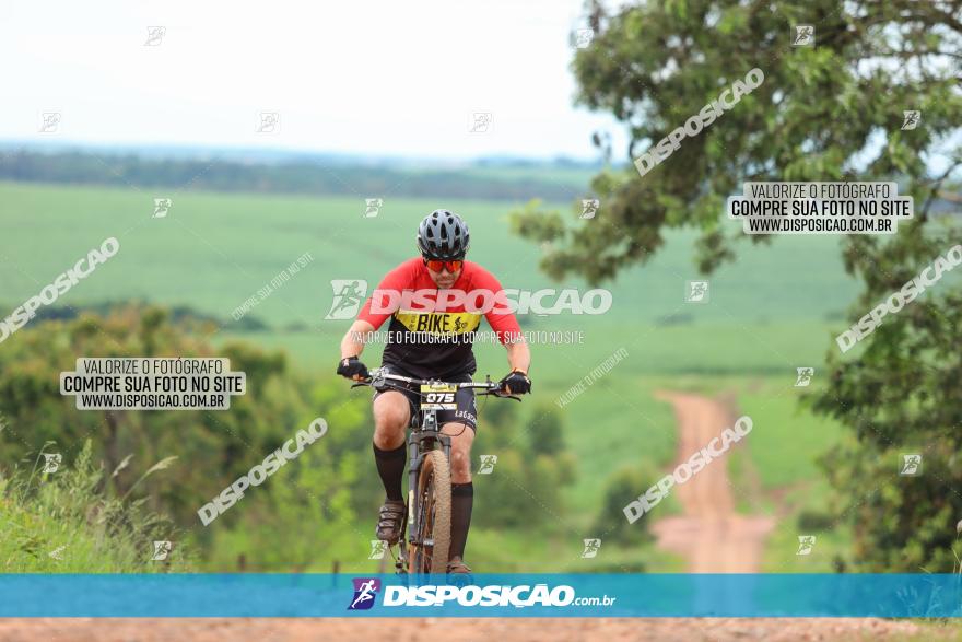 1ª EDIÇÃO DESAFIO ABELHA GRANDE - XCM