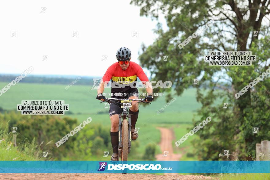 1ª EDIÇÃO DESAFIO ABELHA GRANDE - XCM