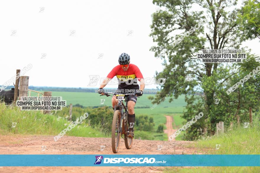 1ª EDIÇÃO DESAFIO ABELHA GRANDE - XCM