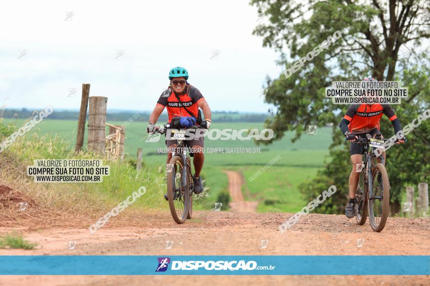 1ª EDIÇÃO DESAFIO ABELHA GRANDE - XCM