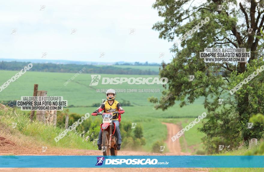 1ª EDIÇÃO DESAFIO ABELHA GRANDE - XCM