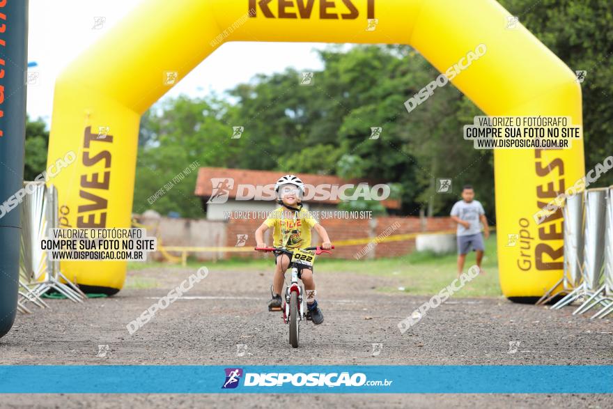 1ª EDIÇÃO DESAFIO ABELHA GRANDE - XCM