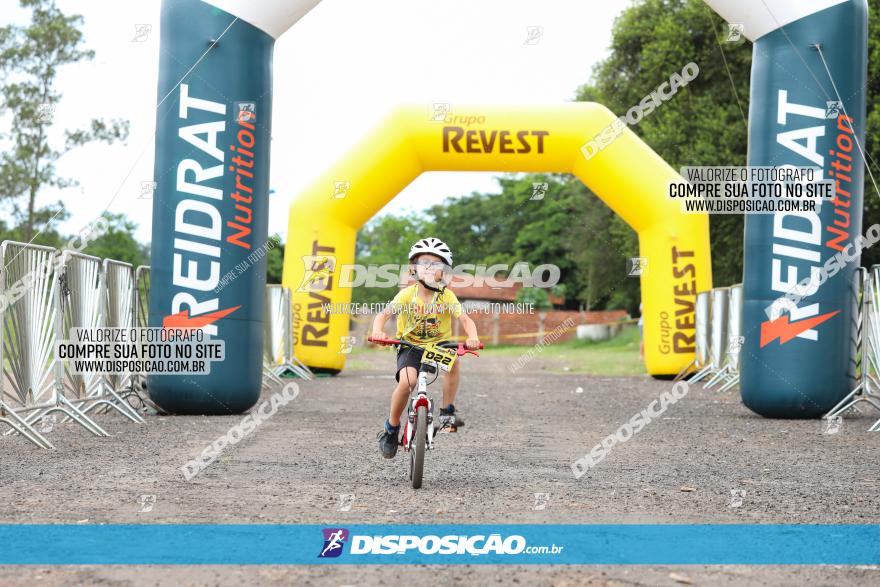 1ª EDIÇÃO DESAFIO ABELHA GRANDE - XCM