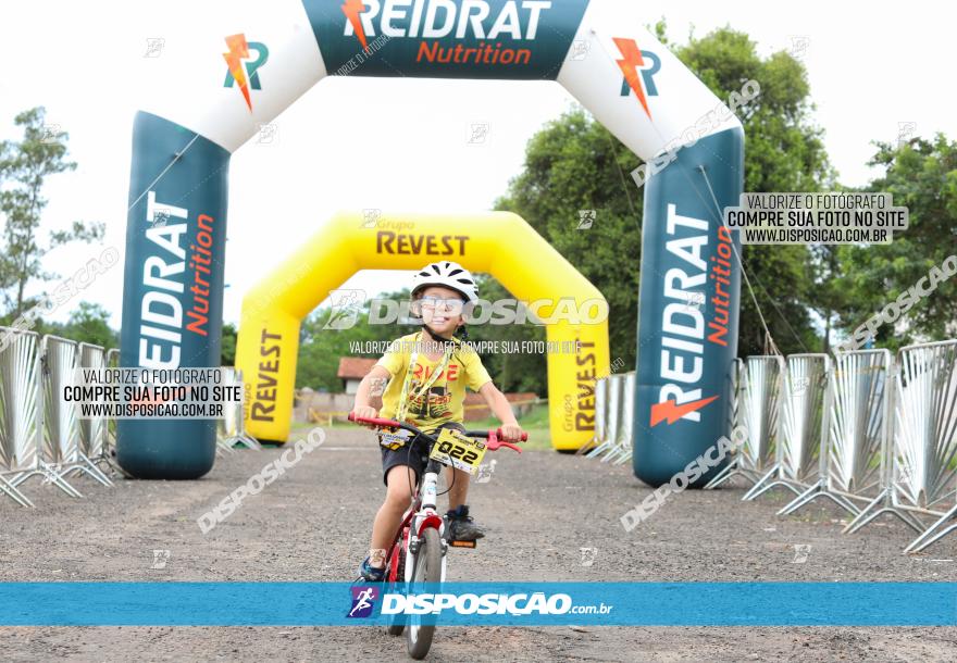 1ª EDIÇÃO DESAFIO ABELHA GRANDE - XCM