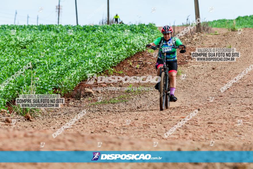 4º Desafio MTB na Veia Cidade de Londrina