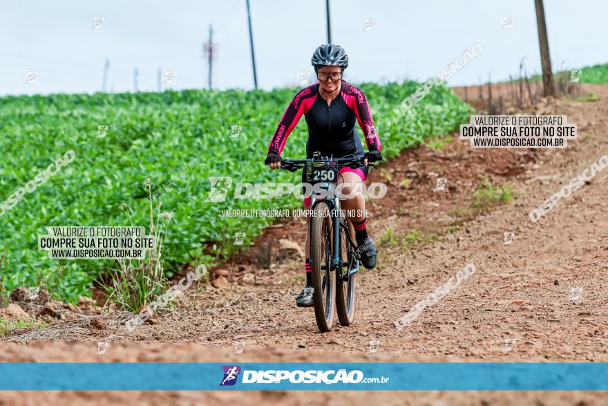 4º Desafio MTB na Veia Cidade de Londrina