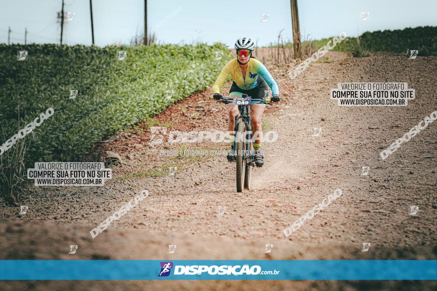 4º Desafio MTB na Veia Cidade de Londrina