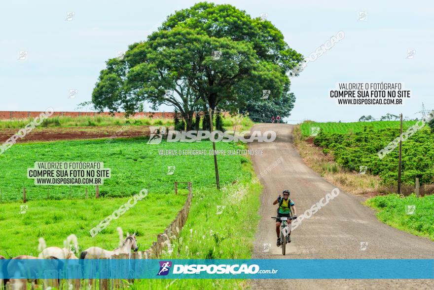 4º Desafio MTB na Veia Cidade de Londrina