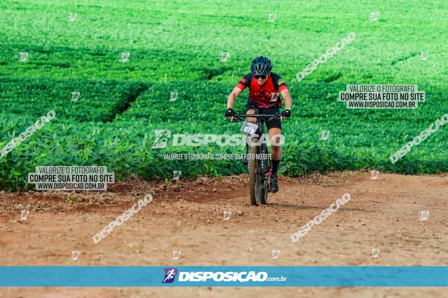 4º Desafio MTB na Veia Cidade de Londrina