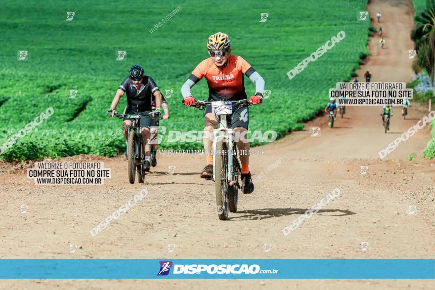 4º Desafio MTB na Veia Cidade de Londrina