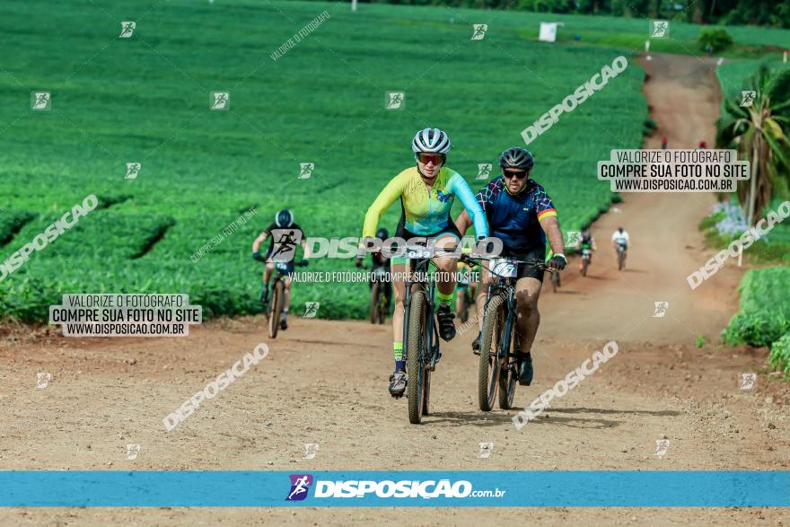 4º Desafio MTB na Veia Cidade de Londrina