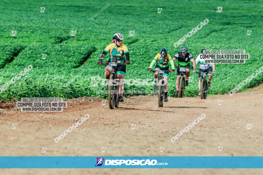 4º Desafio MTB na Veia Cidade de Londrina