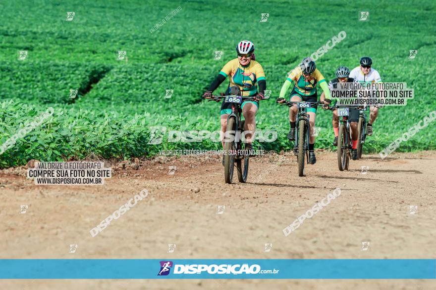 4º Desafio MTB na Veia Cidade de Londrina