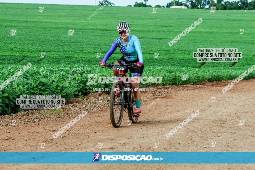 4º Desafio MTB na Veia Cidade de Londrina