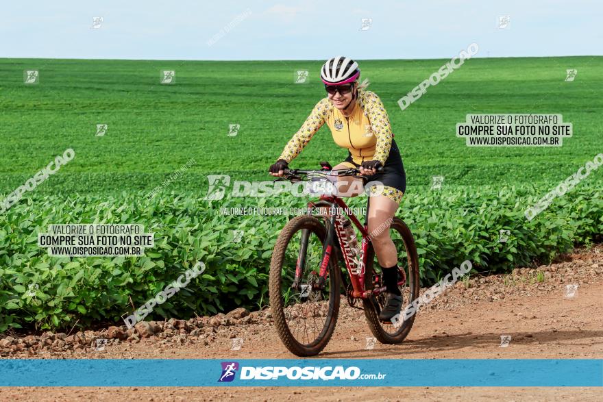 4º Desafio MTB na Veia Cidade de Londrina