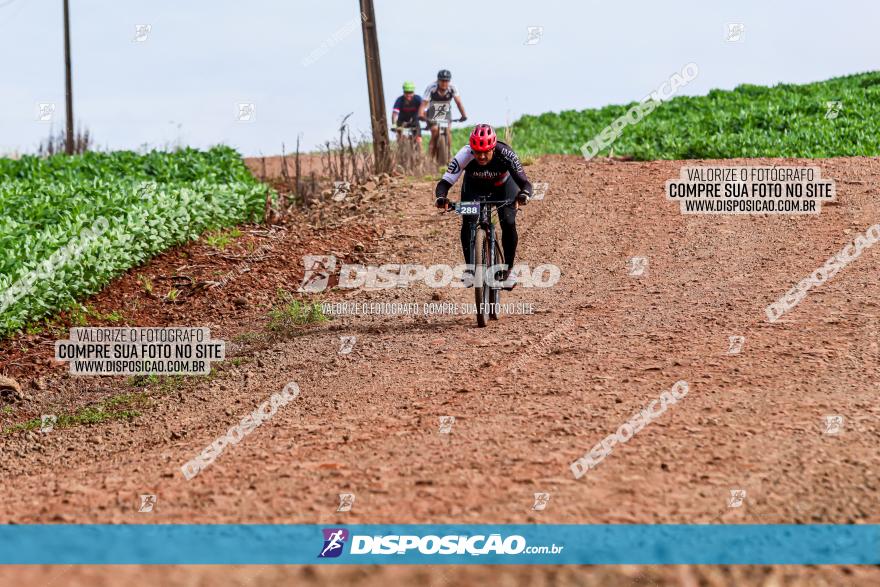 4º Desafio MTB na Veia Cidade de Londrina