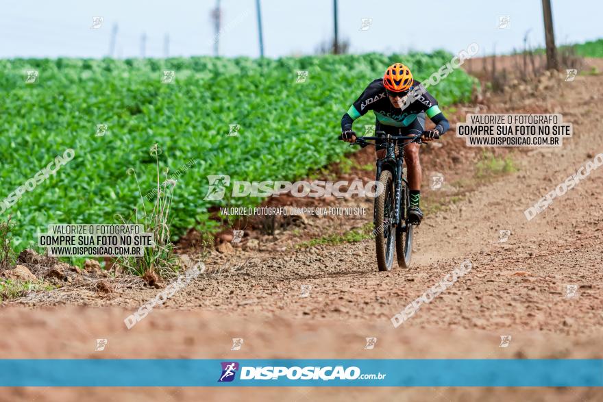 4º Desafio MTB na Veia Cidade de Londrina