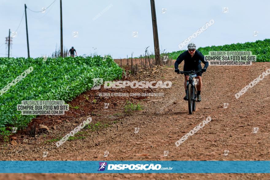 4º Desafio MTB na Veia Cidade de Londrina