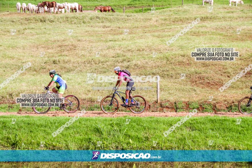 4º Desafio MTB na Veia Cidade de Londrina