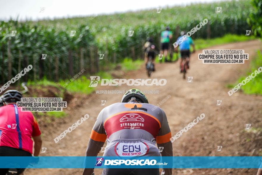 4º Desafio MTB na Veia Cidade de Londrina