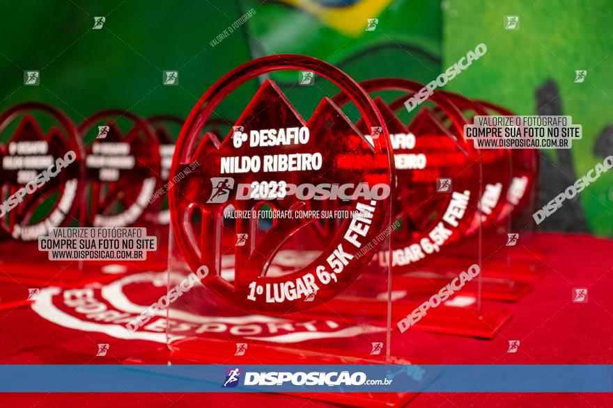 6º Desafio Nildo Ribeiro 2023 - Metropolitan