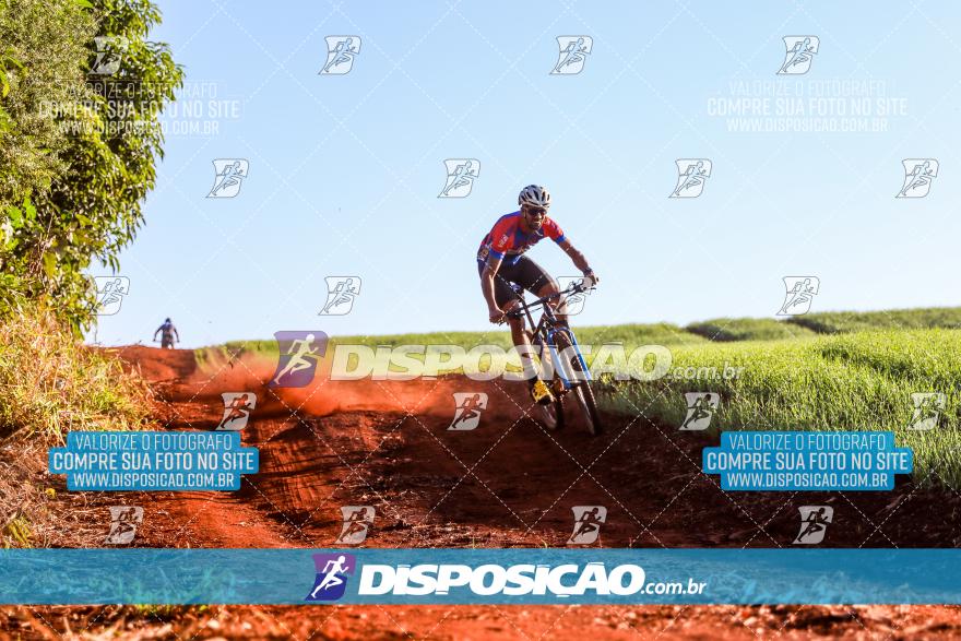 8º Pedal do Trabalhador - Vital Bikes