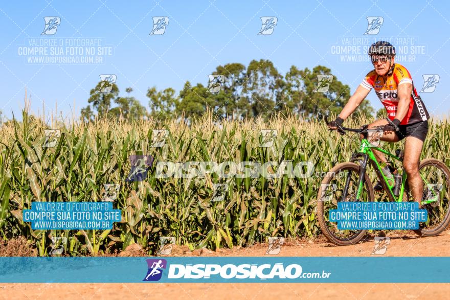 8º Pedal do Trabalhador - Vital Bikes