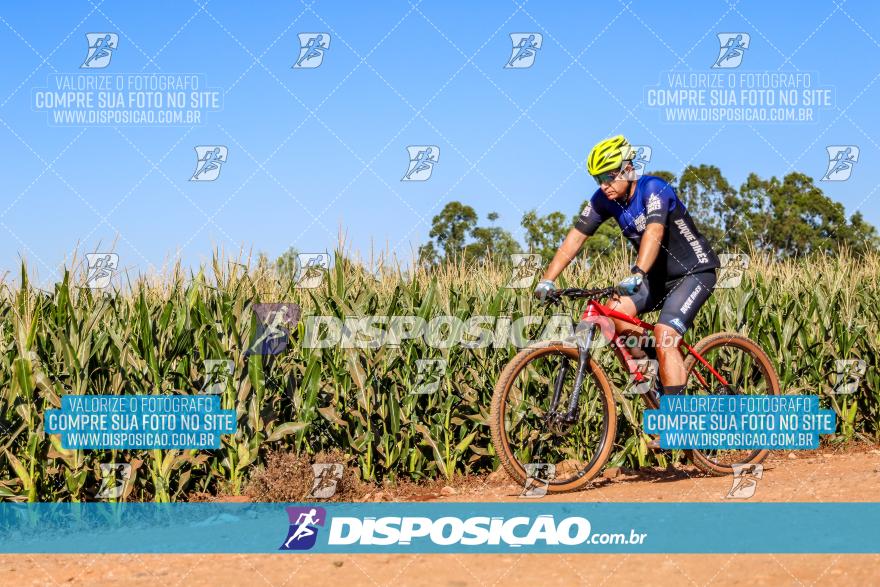 8º Pedal do Trabalhador - Vital Bikes