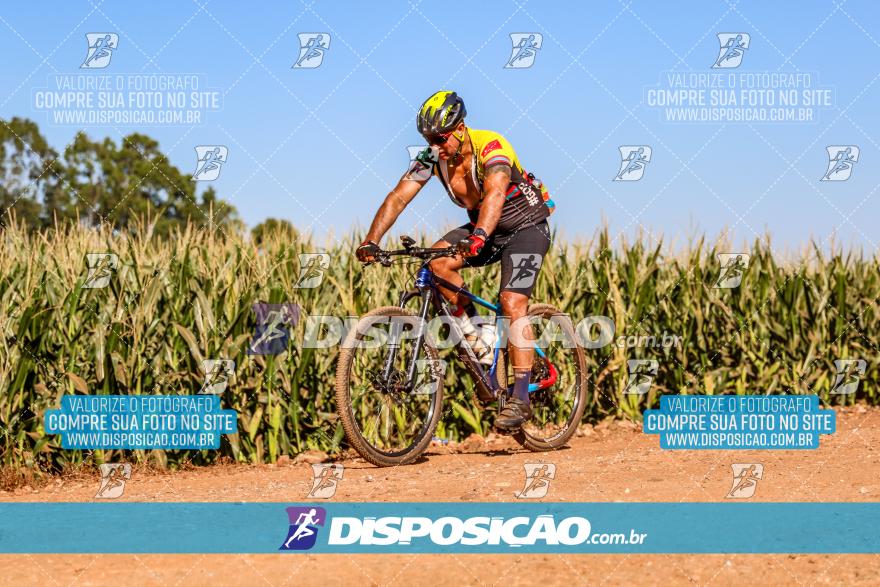 8º Pedal do Trabalhador - Vital Bikes