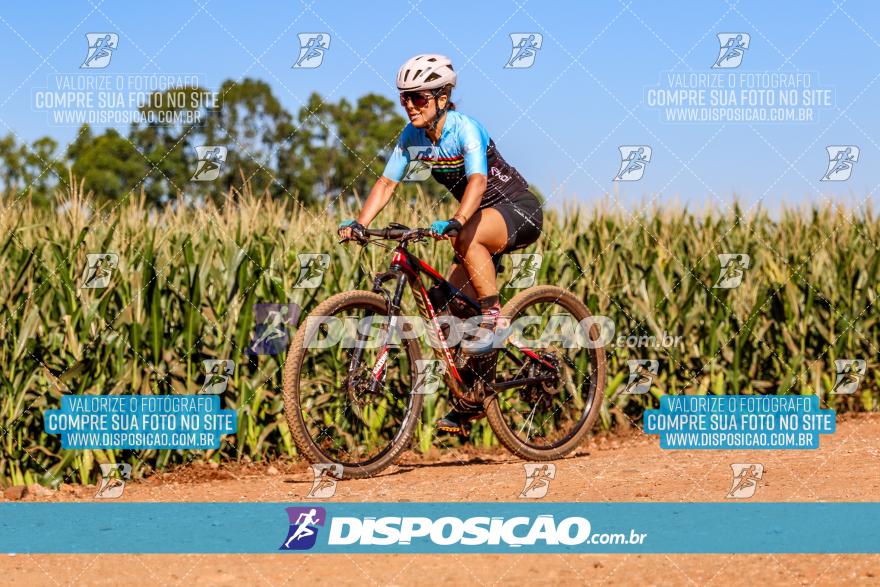 8º Pedal do Trabalhador - Vital Bikes