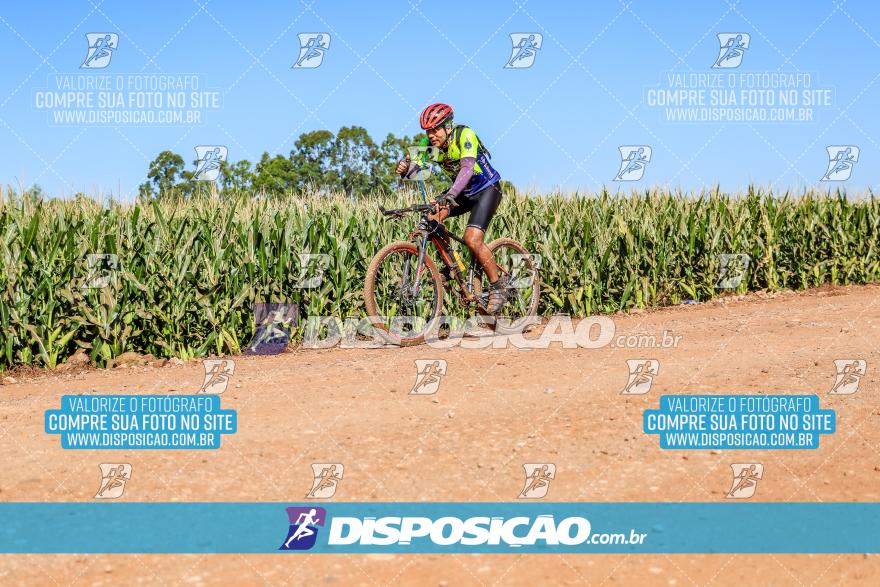 8º Pedal do Trabalhador - Vital Bikes