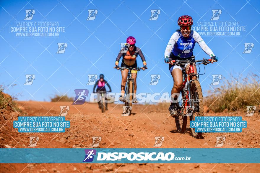 8º Pedal do Trabalhador - Vital Bikes