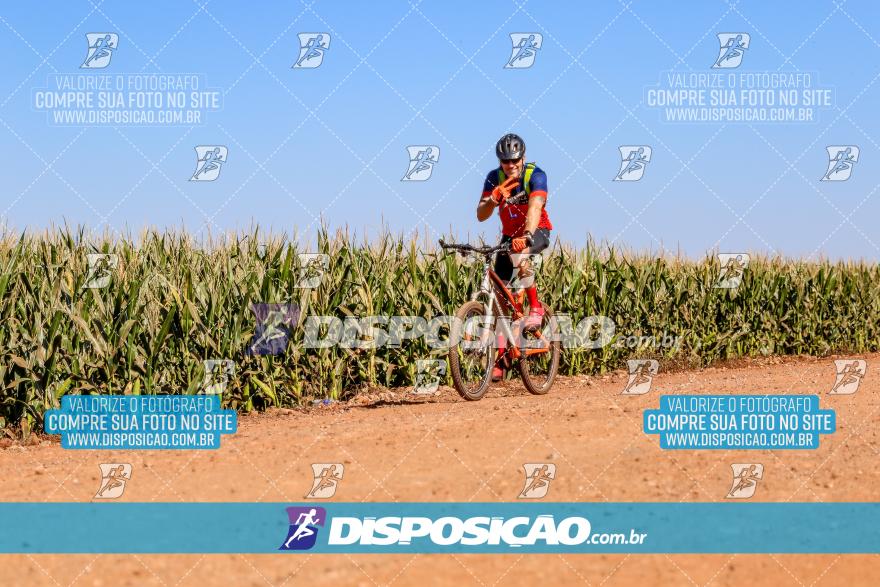 8º Pedal do Trabalhador - Vital Bikes