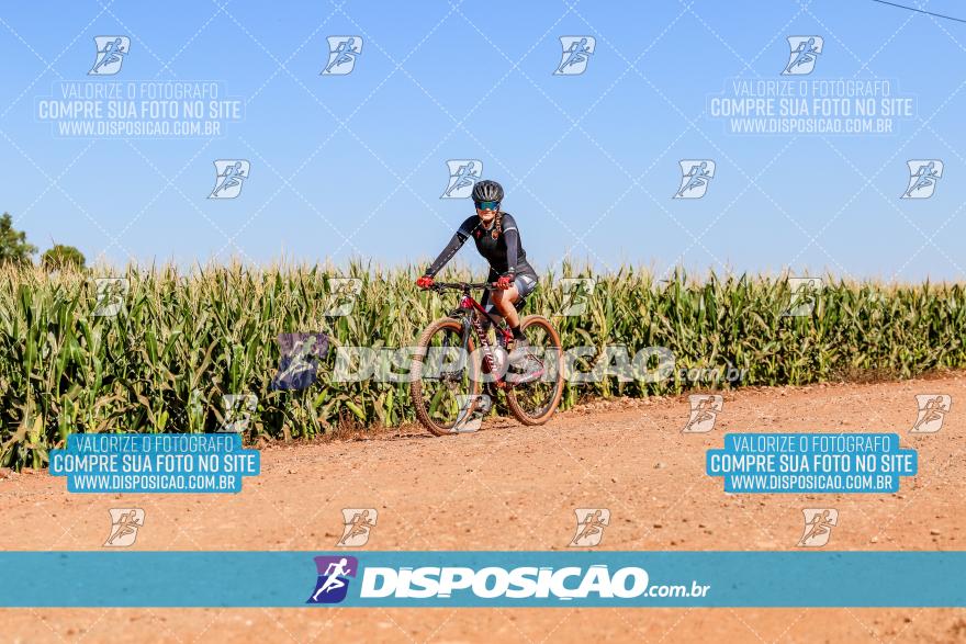 8º Pedal do Trabalhador - Vital Bikes