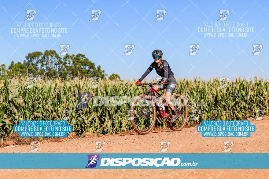 8º Pedal do Trabalhador - Vital Bikes