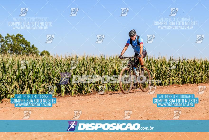 8º Pedal do Trabalhador - Vital Bikes