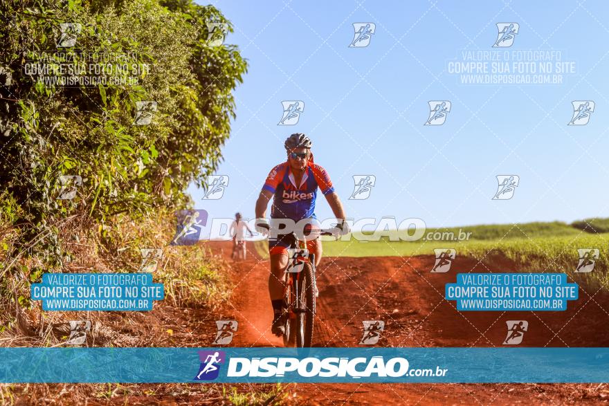 8º Pedal do Trabalhador - Vital Bikes