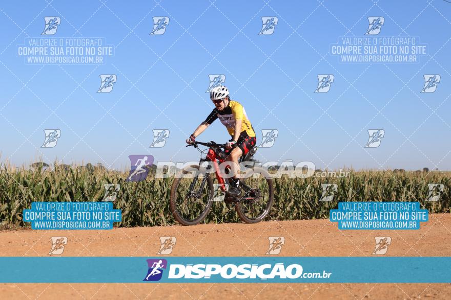 8º Pedal do Trabalhador - Vital Bikes